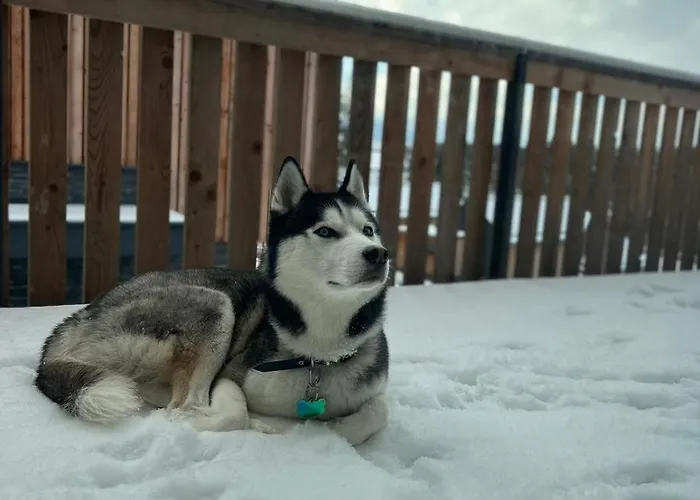 Freya