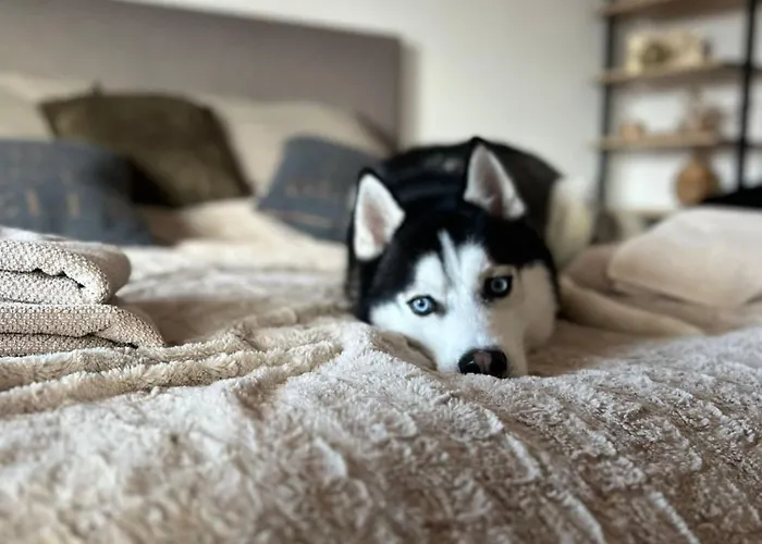 Freya Apartmán